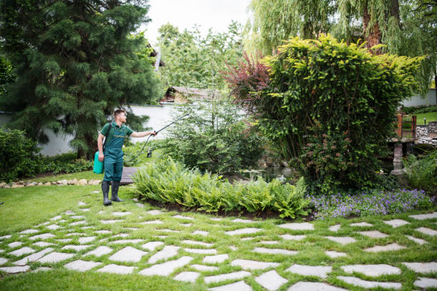 Best Insect Control  in London, OH